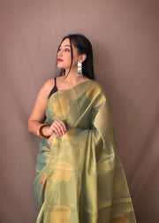 Pure tissue silk sari