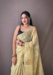 Pure tissue silk sari