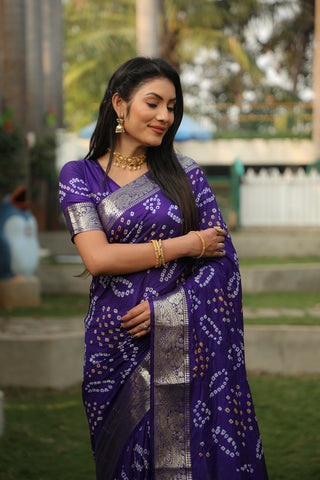 Twill Net Saree