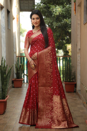 Kanjivaram Border Bandhej Saree