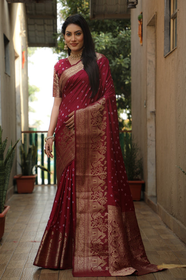 Bandhej Silk Kanjivaram Border Saree - Tiamgee