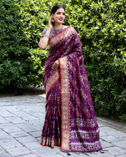 Ikkat Patola Silk Saree