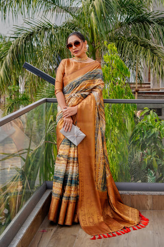 Organza Zari Weaving Saree