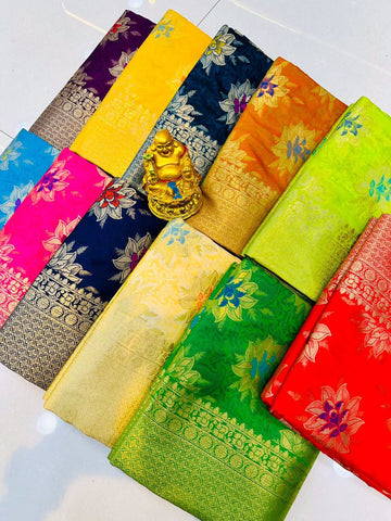 Pure silk handloom saree with Pure Jari emboss