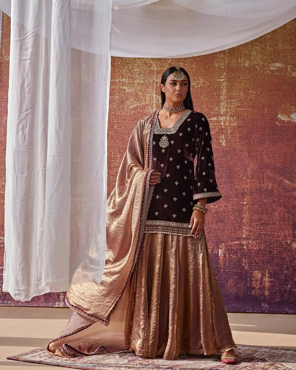 Velvet & Crushi Silk Lehenga Set