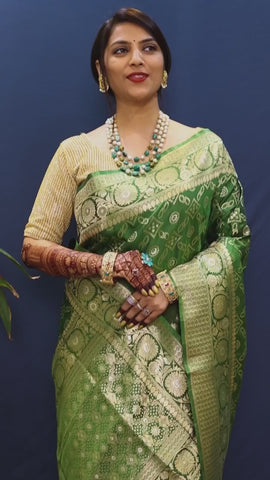 Pure Silk Bandhani Handloom Saree