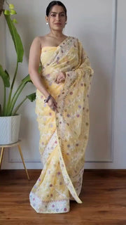 Butterfly net designer saree